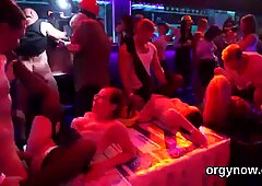 Cute dolls blow penis and enjoy plowing and gangbang